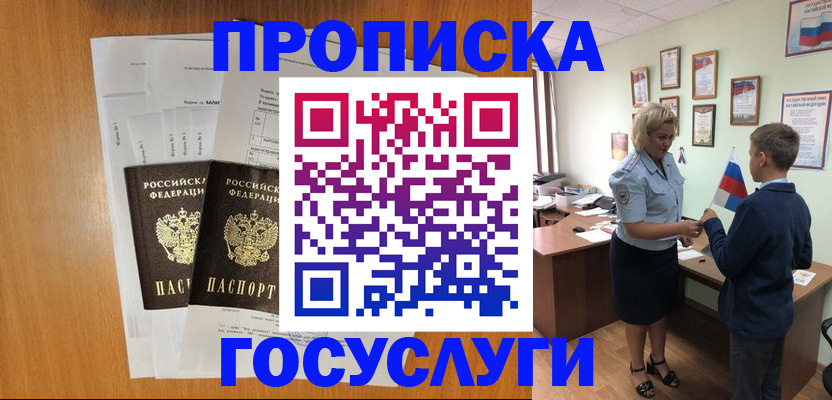временная регистрация госуслуги в Барыше